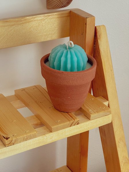 شمعة معطرة على شكل صبارة