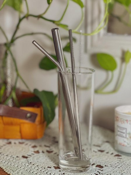 طقم مصاصات ستانلس مع فرشاة