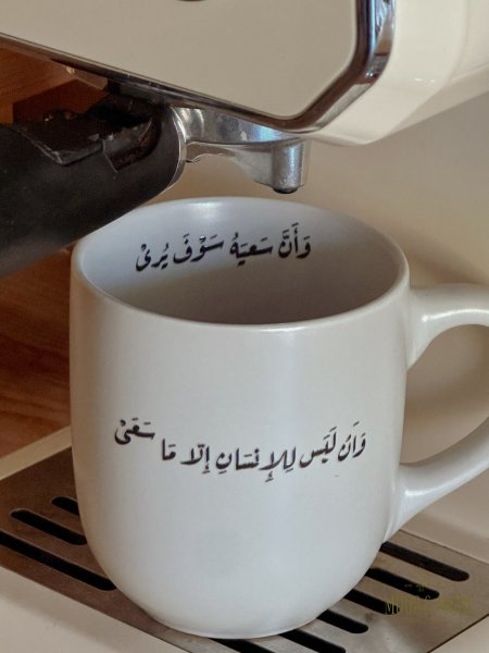 مج بعبارة " وأن ليس للانسان الا ما سعى"