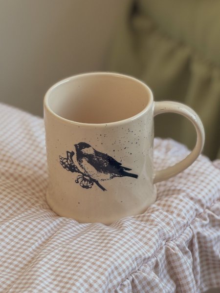 مج الطيور تصميم مميز