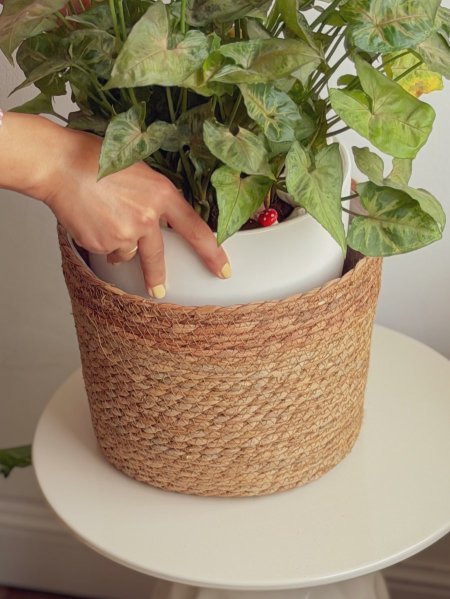 قوار زريعة/ سلة قش